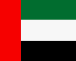 UAE Flag